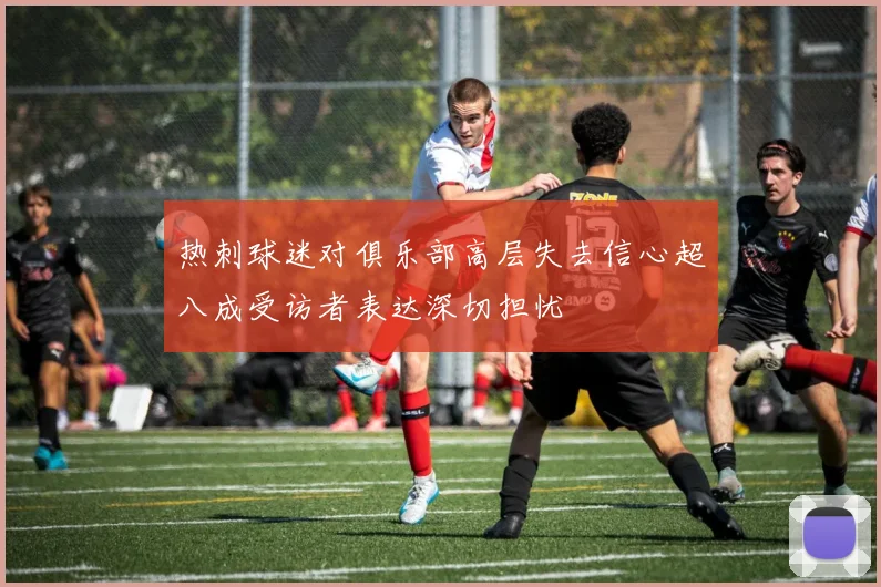 热刺球迷对俱乐部高层失去信心超八成受访者表达深切担忧