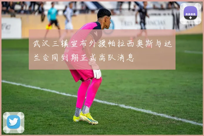 武汉三镇宣布外援帕拉西奥斯与达兰合同到期正式离队消息